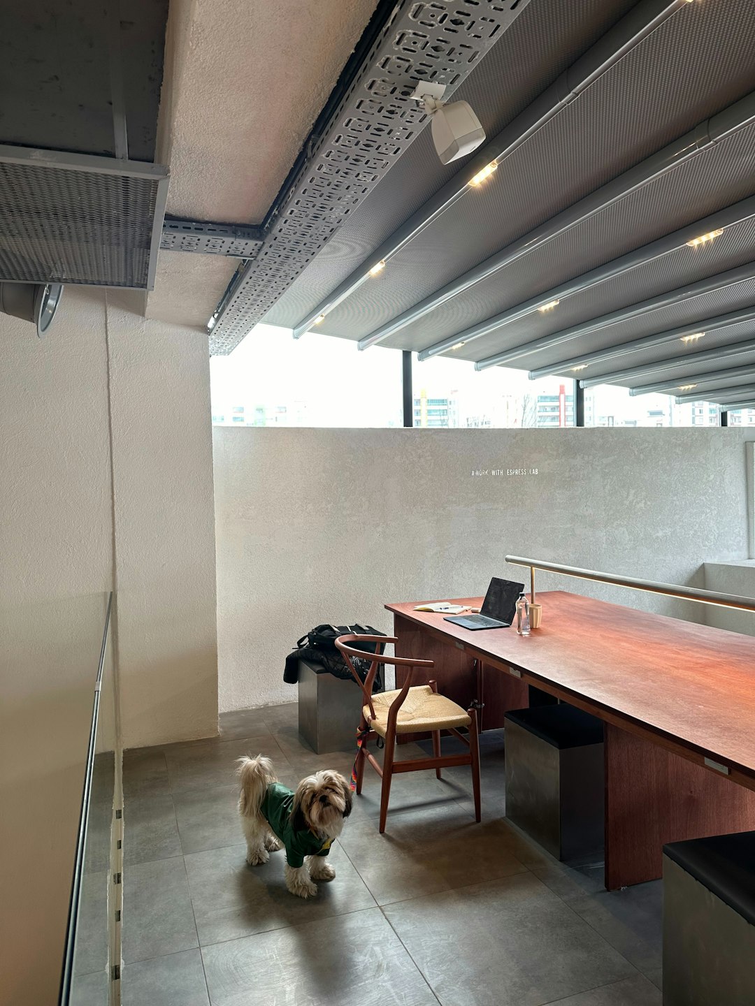Corporate Campus Renewal