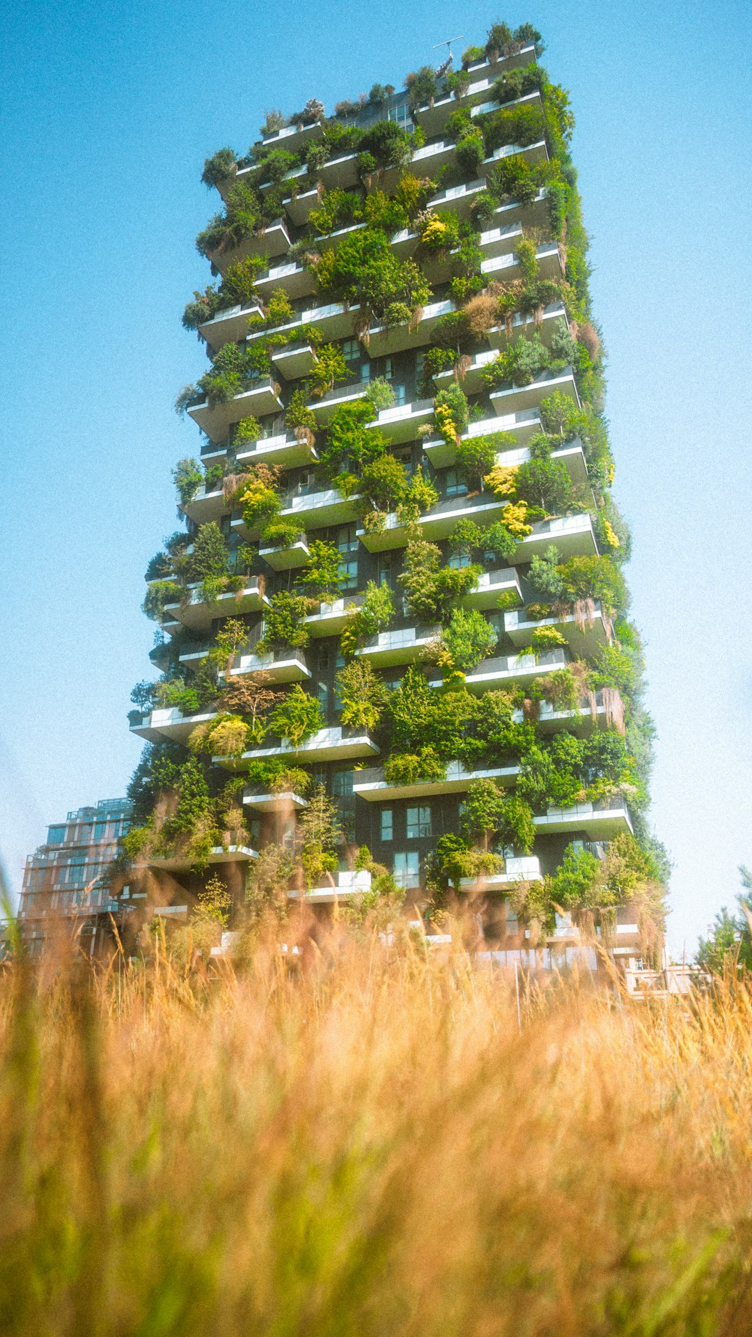 Sustainability Consulting